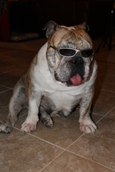 Boo is too cool