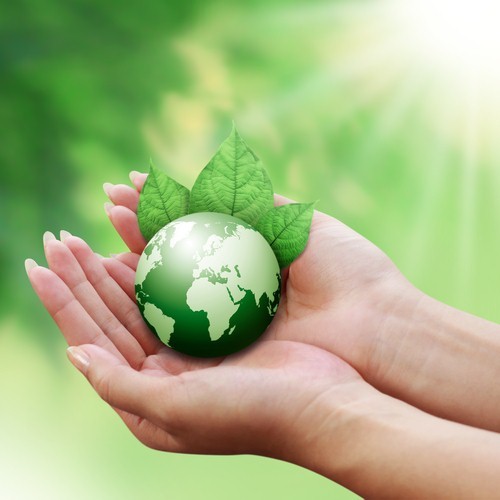 HGTV Green Home inspires industry experts to go the extra mile