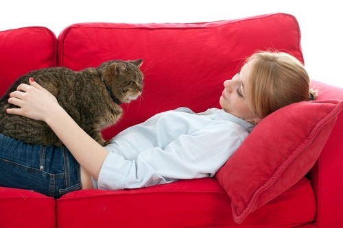 Unexpected radiant heat flooring benefits - improving pet quality of life.