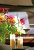 Brafton_photo20120514-24826-bg4n3i-0?1337052613