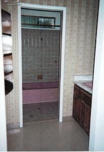 master bathroom before remodel