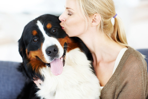 installing radiant heating in your dog's kennel