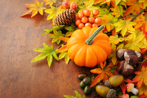 Happy Thanksgiving from WarmlyYours