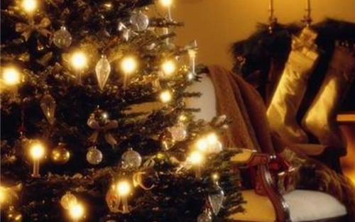 Christmas tree alternatives for your home