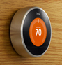 Nest-thumb