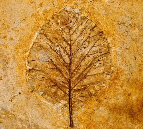 Designs can be pressed into concrete countertops to create a completely custom look