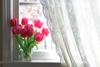 Brafton_photo20130515-23335-1psel2r-0?1368675009