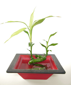 Radiant Floor Heating can be Green