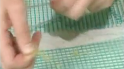 Spanish Heating Video